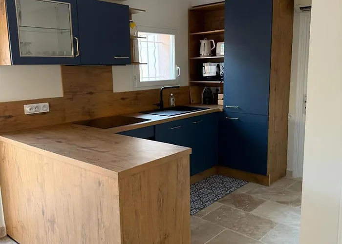 Bas De Avec Jardin - Centre Et A Pied 圣马克西姆